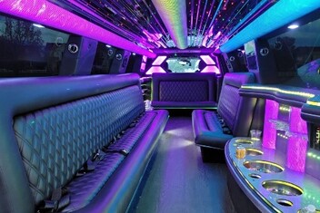 Bowie Limo Interior